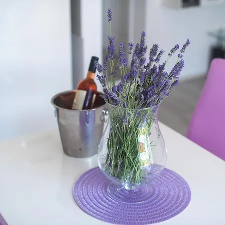 Magdalena 아파트 Zaton (Sibenik-Knin)